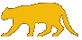 Goldkatze